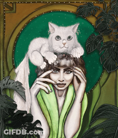 A Woman With A White Cat On Her Head GIF