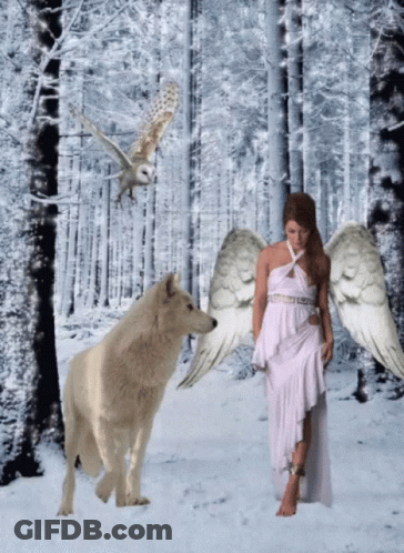 A Woman With Angel Wings Stands In The Snow With A Wolf GIF