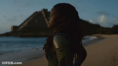 A Woman With Dreadlocks Is Standing On A Beach GIF