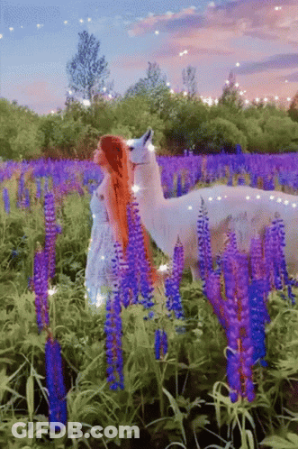 A Woman With Long Red Hair Is Standing Next To A White Llama In A Field Of Purple Flowers GIF