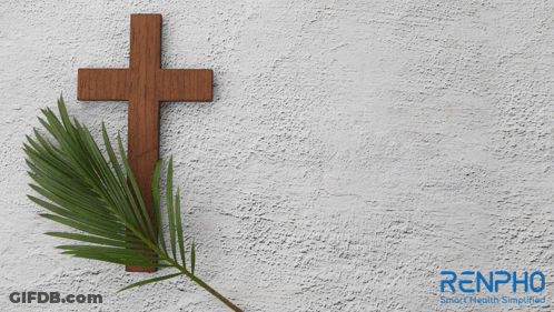 A Wooden Cross With Palm Leaves And The Words Holy Wee GIF