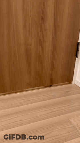 A Wooden Door With A Metal Door Stop On The Floor Underneath It GIF