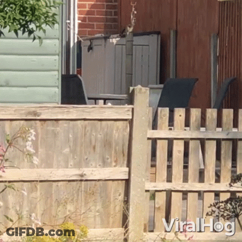 A Wooden Fence With The Words Viralhog Written On It GIF