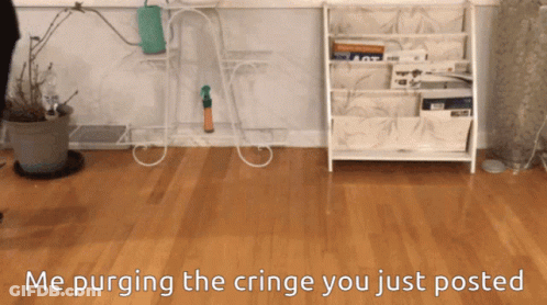 A Wooden Floor With The Words Me Purging The Cringe You Just Posted On It GIF