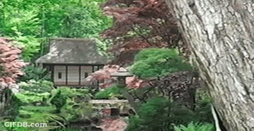 A Wooden House Is Surrounded By Trees And A Pond In A Garden . GIF