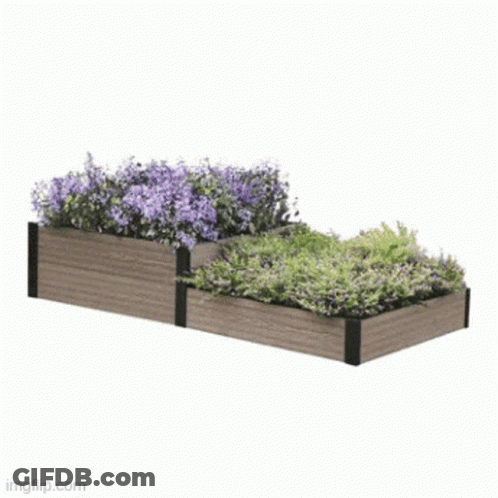 A Wooden Planter Filled With Flowers And Grass GIF
