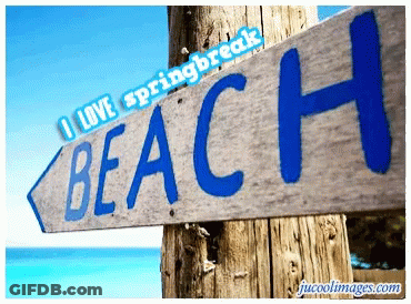 A Wooden Sign That Says I Love Spring Break Beach GIF