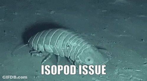 A Worm Is Crawling On The Ground With The Words Isopod Issue Below It . GIF
