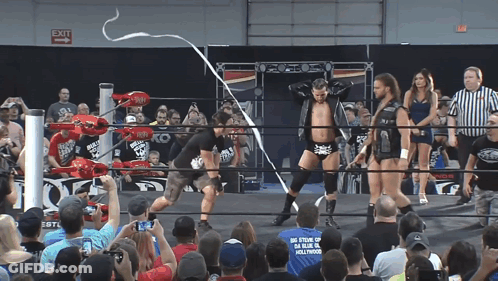 A Wrestler In A Blue Shirt That Says Big Stout Of Hollywood GIF