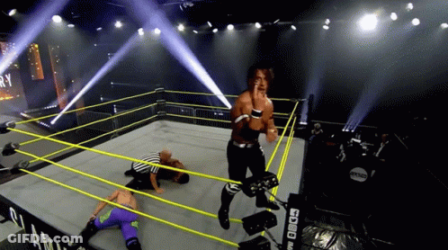 A Wrestler In A Ring With The Word Ry On The Corner GIF