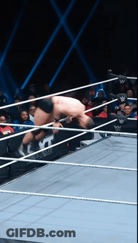 A Wrestler In A Wrestling Ring With The Letter W On The Side GIF