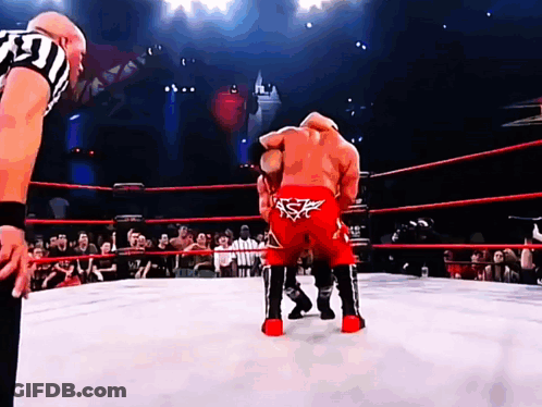 A Wrestler In Red Shorts With A Star On The Back Stands In The Middle Of A Wrestling Ring GIF