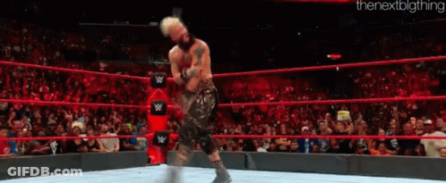 A Wrestler Is Standing In A Wrestling Ring With A Crowd In The Background . GIF