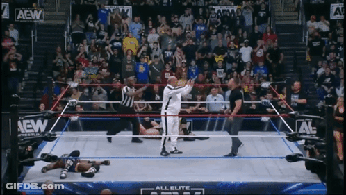 A Wrestler Is Standing In The Middle Of A Wrestling Ring That Says All Elite Wrestling GIF