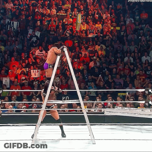 A Wrestler Is Standing On A Ladder In Front Of A Crowd That Has A Sign That Says Mad GIF