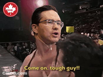 A Wrestler Says Come On Tough Guy In A Canadian Meme GIF