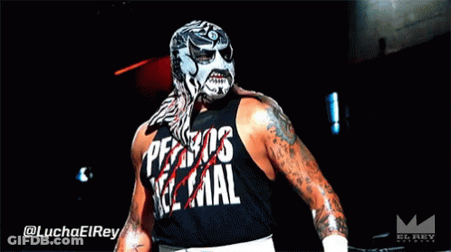 A Wrestler With A Mask And A Shirt That Says Ferros Real GIF