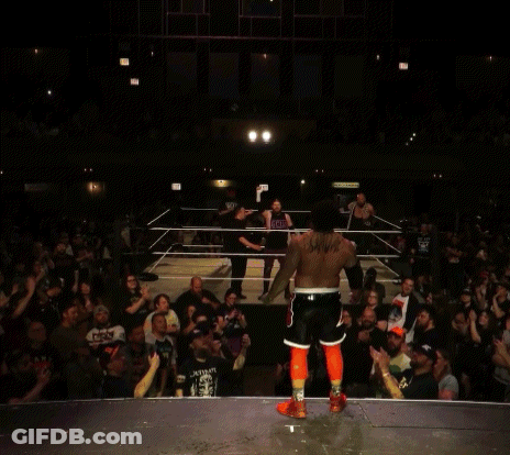 A Wrestler With A Red And White Triangle On His Shorts Raises His Fist In The Air GIF
