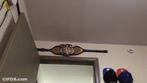 A Wrestling Belt Is Hanging On The Wall Above A Door . GIF