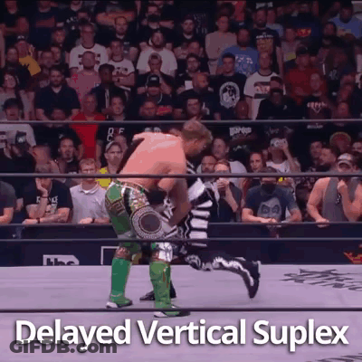 A Wrestling Match Is Being Held In Front Of A Crowd And The Words Delayed Vertical Suplex Are Visible . GIF