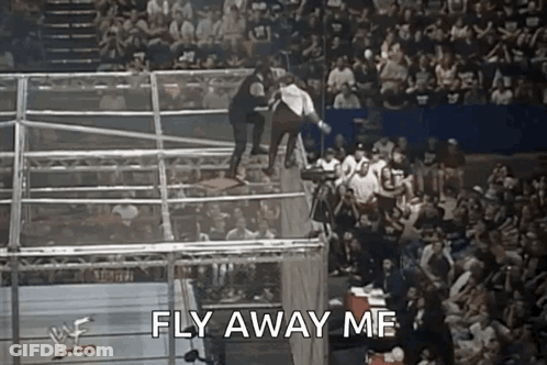 A Wrestling Match With The Words Fly Away Me Written In The Corner GIF