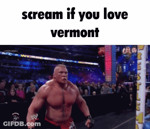 A Wrestling Ring With The Words " Scream If You Love Vermont " On The Bottom GIF
