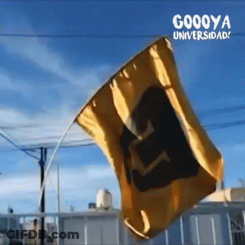 A Yellow And Black Flag With The Word Universidad On It GIF