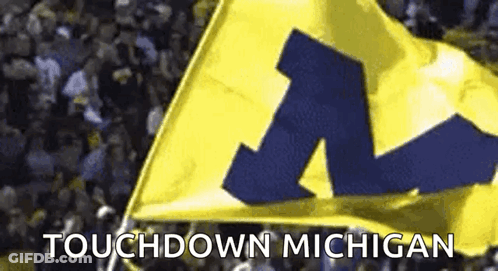 A Yellow And Blue Flag With The Letter M On It Is Being Waved In Front Of A Crowd . GIF