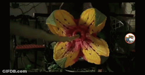 A Yellow And Red Flower With A Dragon On The Bottom GIF