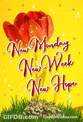 A Yellow Background With A Red Flower And The Words New Monday New Week New Hope GIF