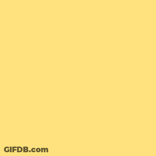 A Yellow Background With A Red Ribbon That Says Appels Van Oranje GIF