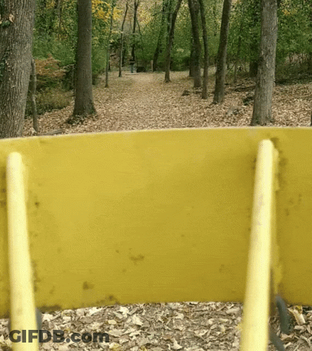 A Yellow Bench In A Park With Trees In The Background And Leaves On The Ground GIF