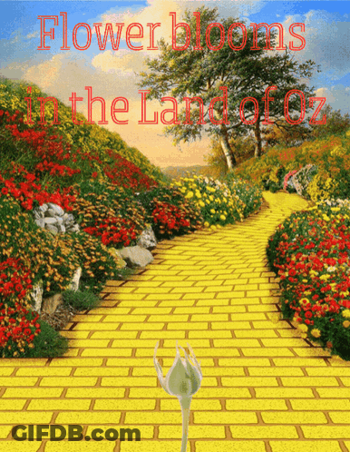 A Yellow Brick Road With The Words Flower Blooms In The Land Of Oz On The Bottom GIF