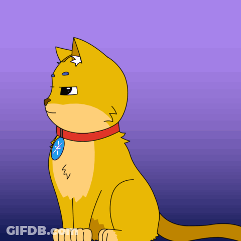 A Yellow Cat With A Red Collar And A Blue Badge On Its Chest GIF