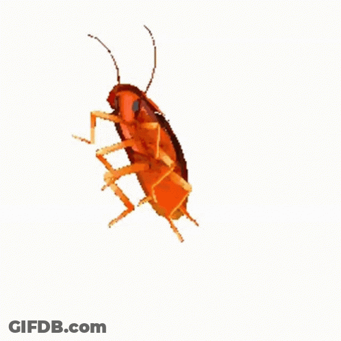 A Yellow Cockroach Is Sitting On A White Background . GIF