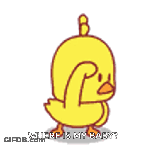 A Yellow Duck Is Scratching Its Head And Asking Where Is My Baby GIF