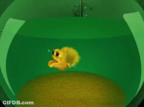 A Yellow Fish Is Swimming In A Green Bowl Of Water GIF
