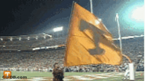 A Yellow Flag With The Letter T On It Is Flying In A Stadium GIF