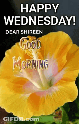 A Yellow Flower With The Words `` Happy Wednesday ! '' And `` Good Morning '' On It . GIF