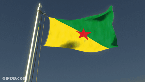 A Yellow Green And Red Flag With A Red Star On It GIF