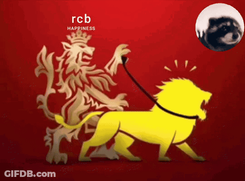 A Yellow Lion Is Being Pulled By A Red Lion With The Words Rcb Happiness On The Bottom GIF