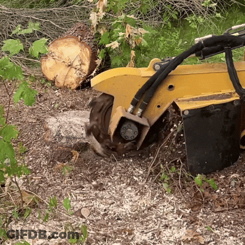 A Yellow Machine Is Cutting A Tree Stump In The Ground GIF
