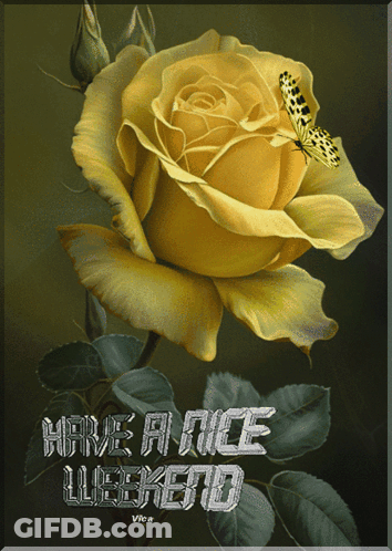 Yellow Rose With Butterfly And Weekend Wishes GIF