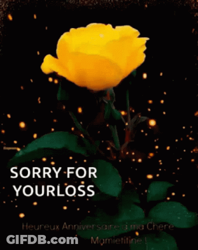 A Yellow Rose With The Words Sorry For Your Loss GIF