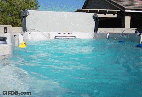 A Yellow Rubber Duck Is Floating In A Pool GIF