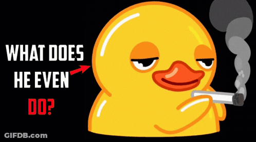 A Yellow Rubber Duck Smoking A Cigarette With The Words " What Does He Even Do " Above It GIF