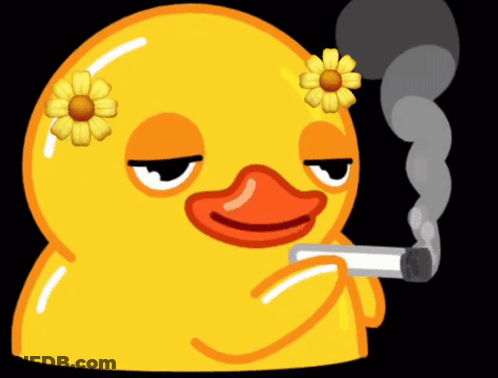 A Yellow Rubber Duck With A Flower On Its Head Smoking A Cigarette GIF