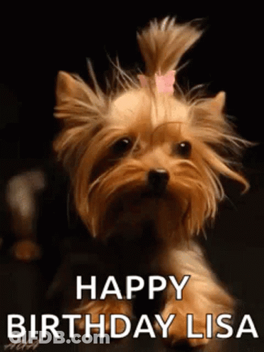 A Yorkshire Terrier With A Pink Bow In Its Hair Is Sitting On A Table And Says `` Happy Birthday Lisa '' . GIF