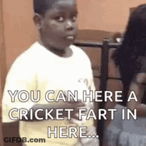 A Young Boy Is Making A Funny Face And Saying `` You Can Here A Cricket Fart In Here ... '' GIF