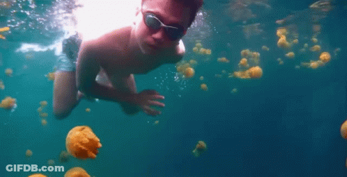 A Young Boy Is Swimming In The Ocean With Jellyfish . GIF